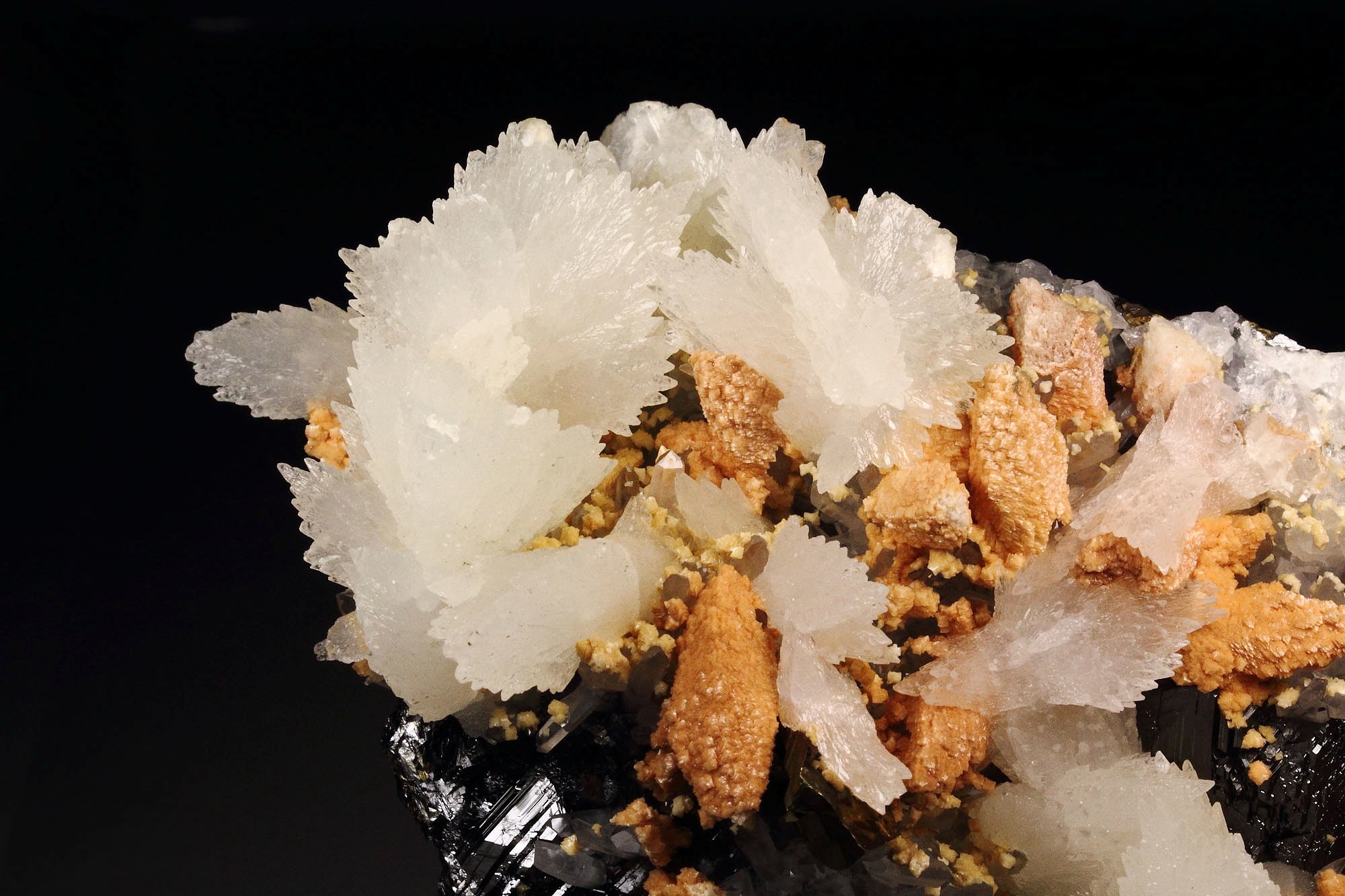 CALCITE, DOLOMITE, CHALCOPYRITE, SPHALERITE, QUARTZ