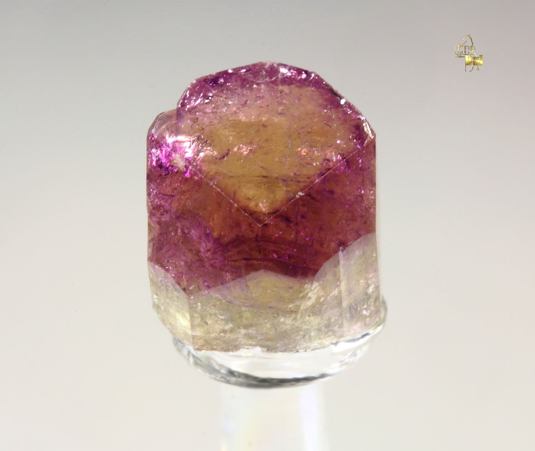 gem VESUVIANITE with RASPBERRY CAP