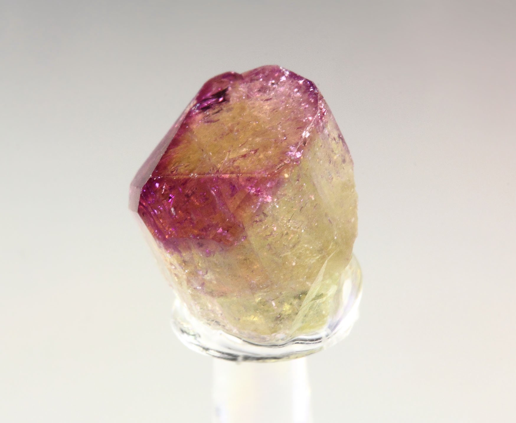 gem VESUVIANITE with RASPBERRY CAP