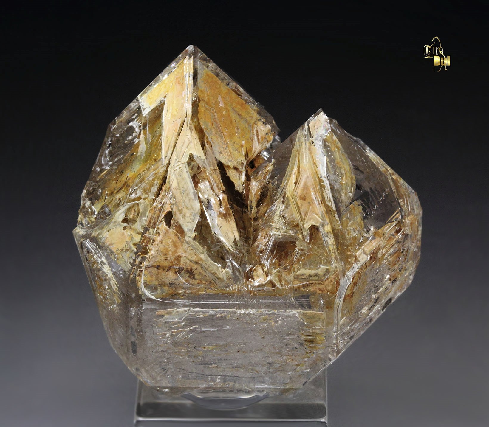 skeletal QUARTZ