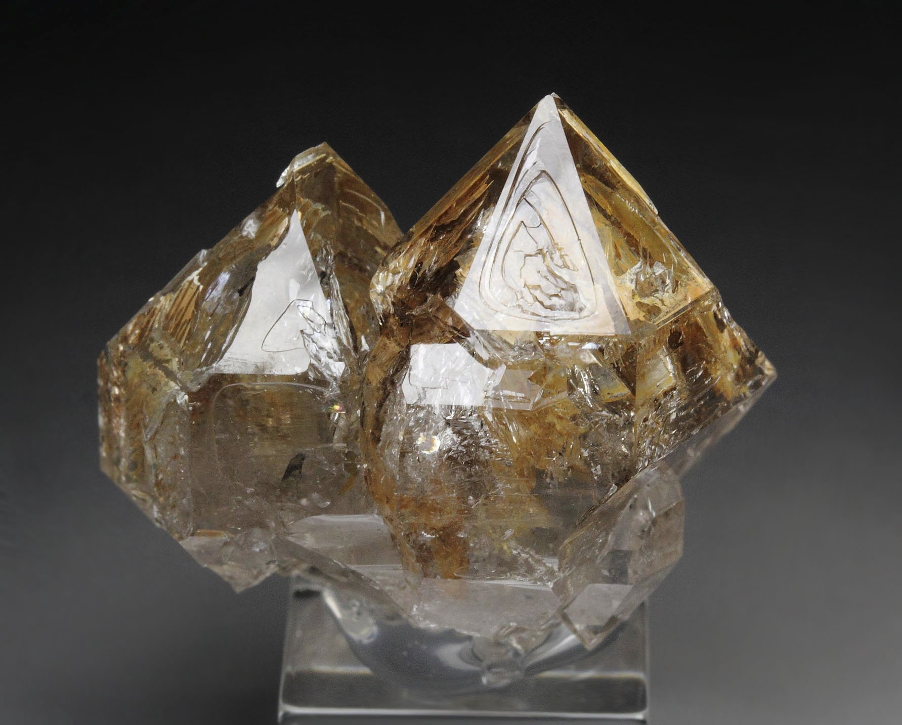 skeletal QUARTZ