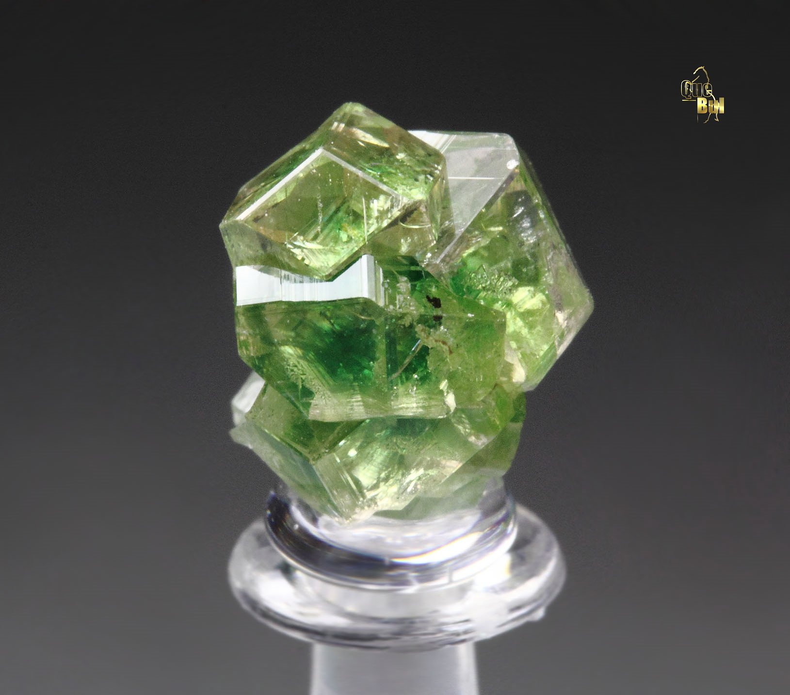 gem GARNET var. GROSSULAR with GREEN CHROMIAN PHANTOMS