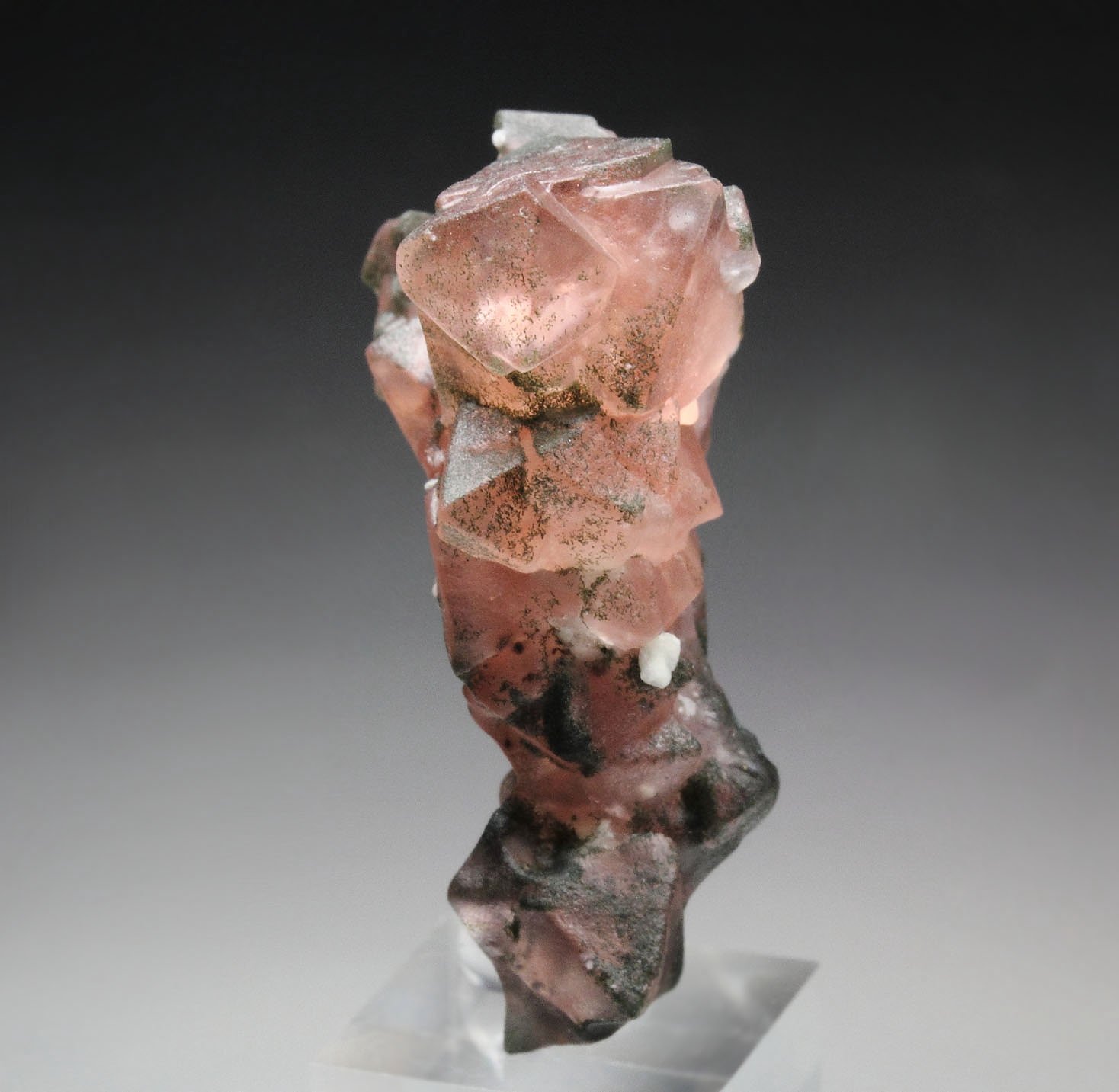 pink FLUORITE