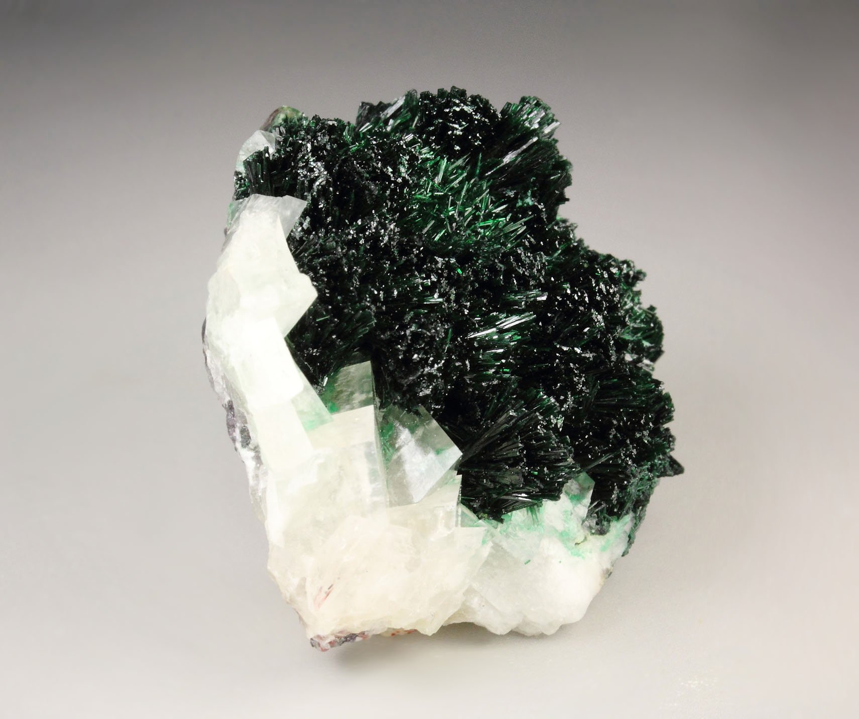 crystallized MALACHITE, CALCITE