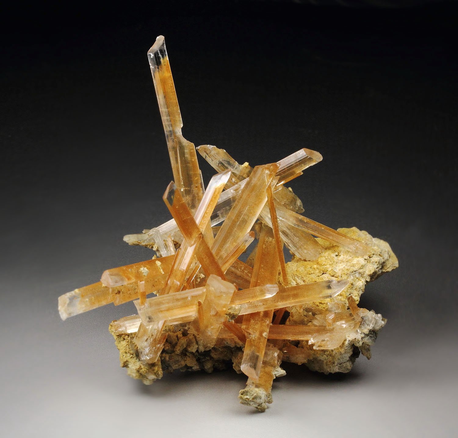 GYPSUM var. SELENITE