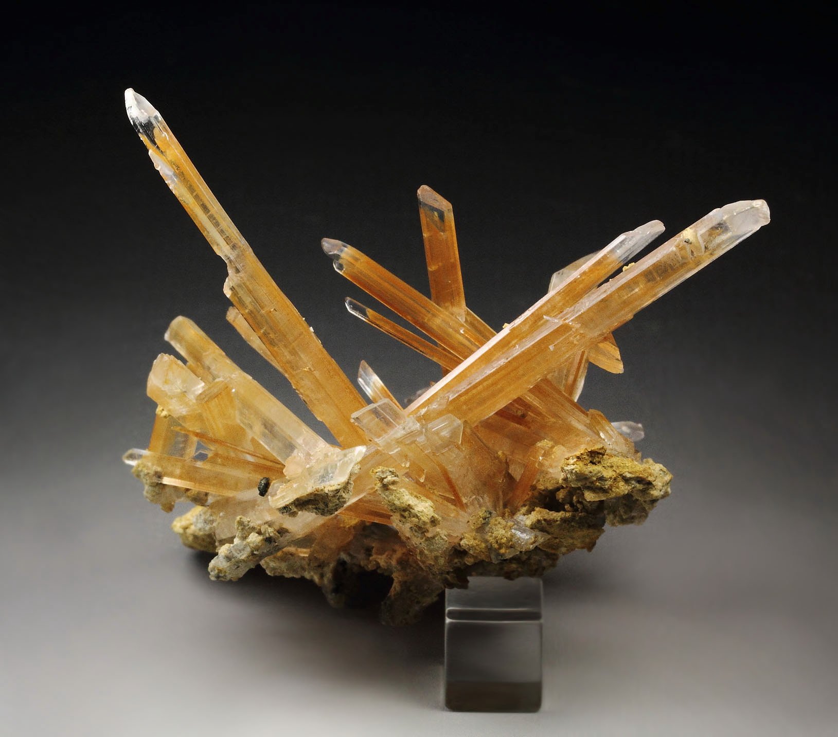 GYPSUM var. SELENITE