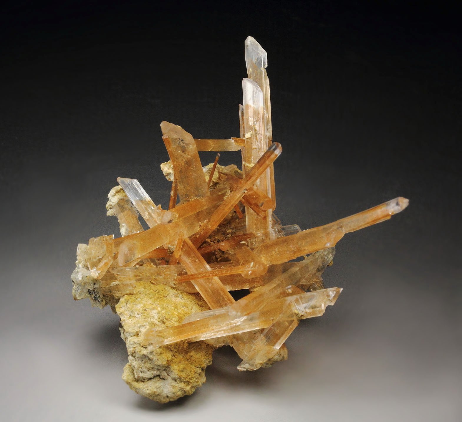 GYPSUM var. SELENITE