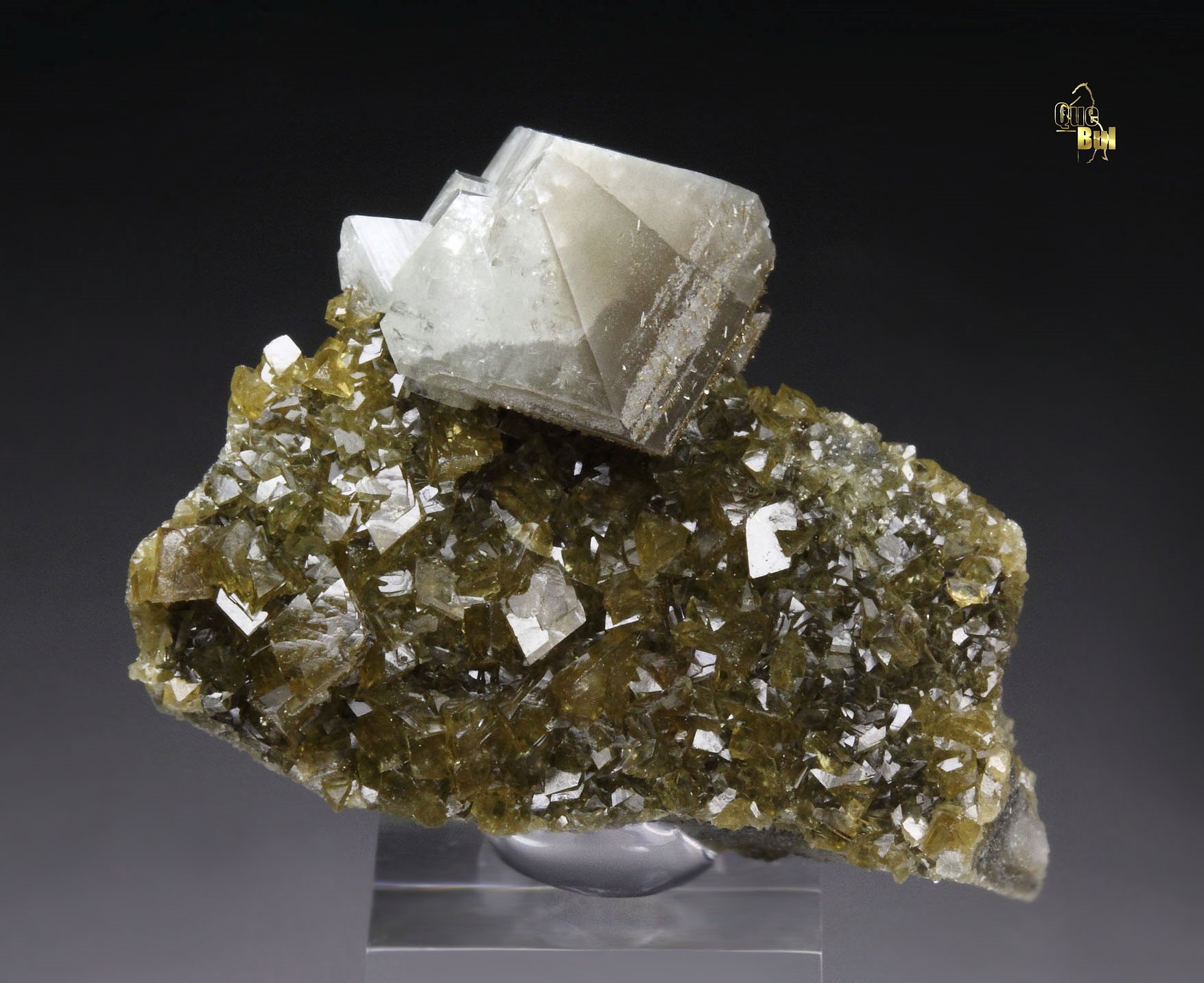 gemmy WARDITE, EOSPHORITE, SIDERITE