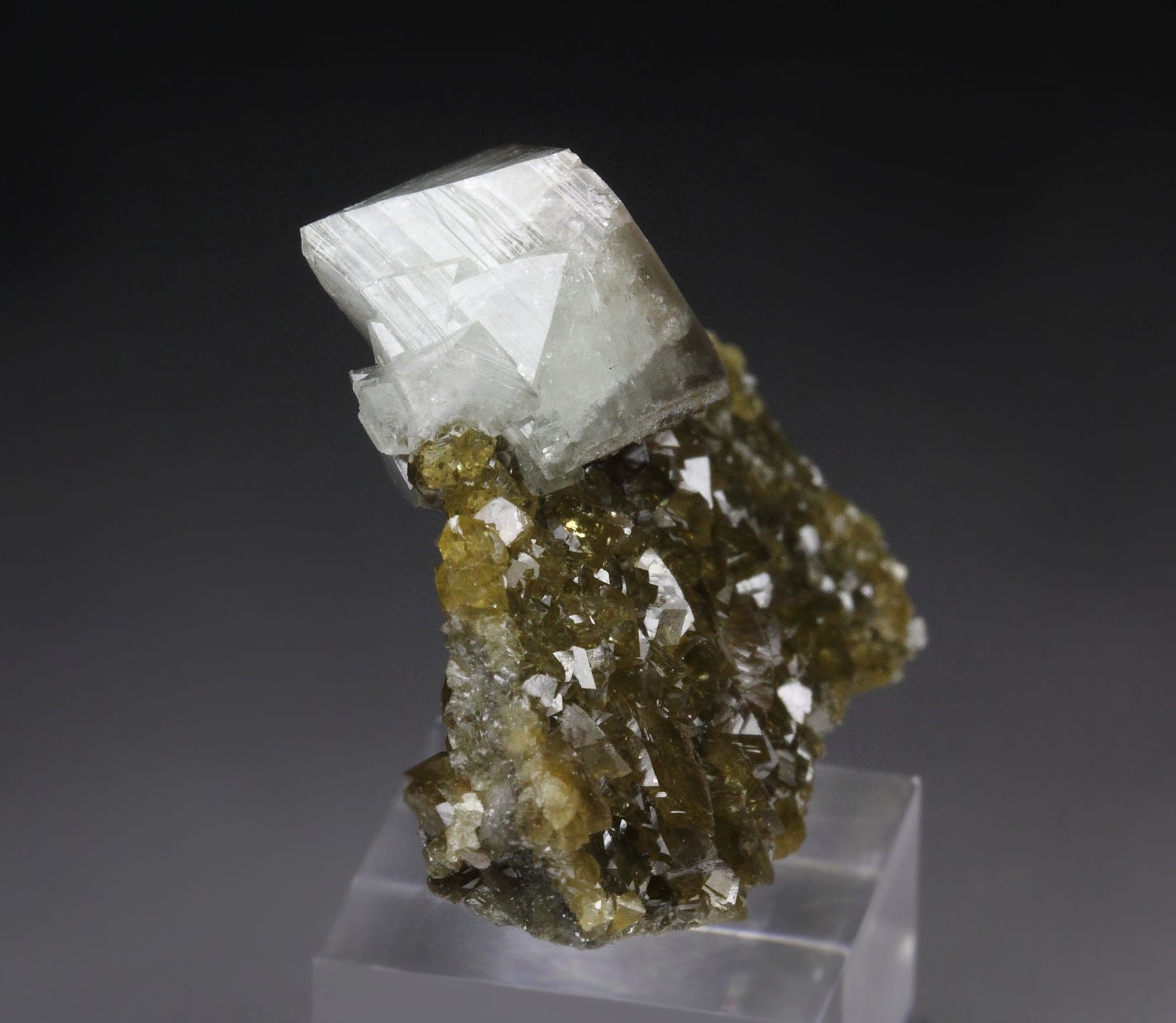 gemmy WARDITE, EOSPHORITE, SIDERITE