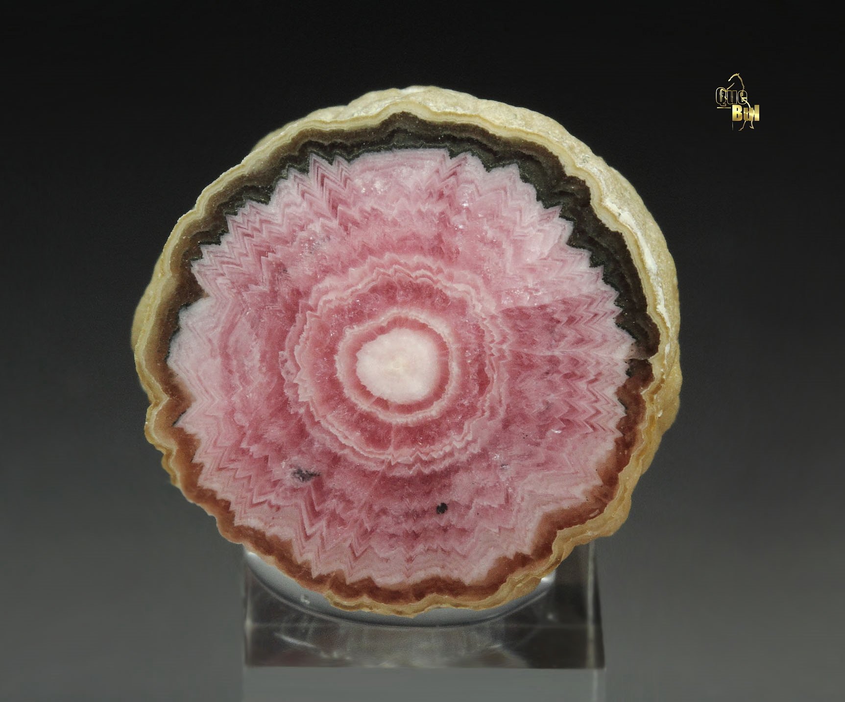 RHODOCHROSITE stalactite