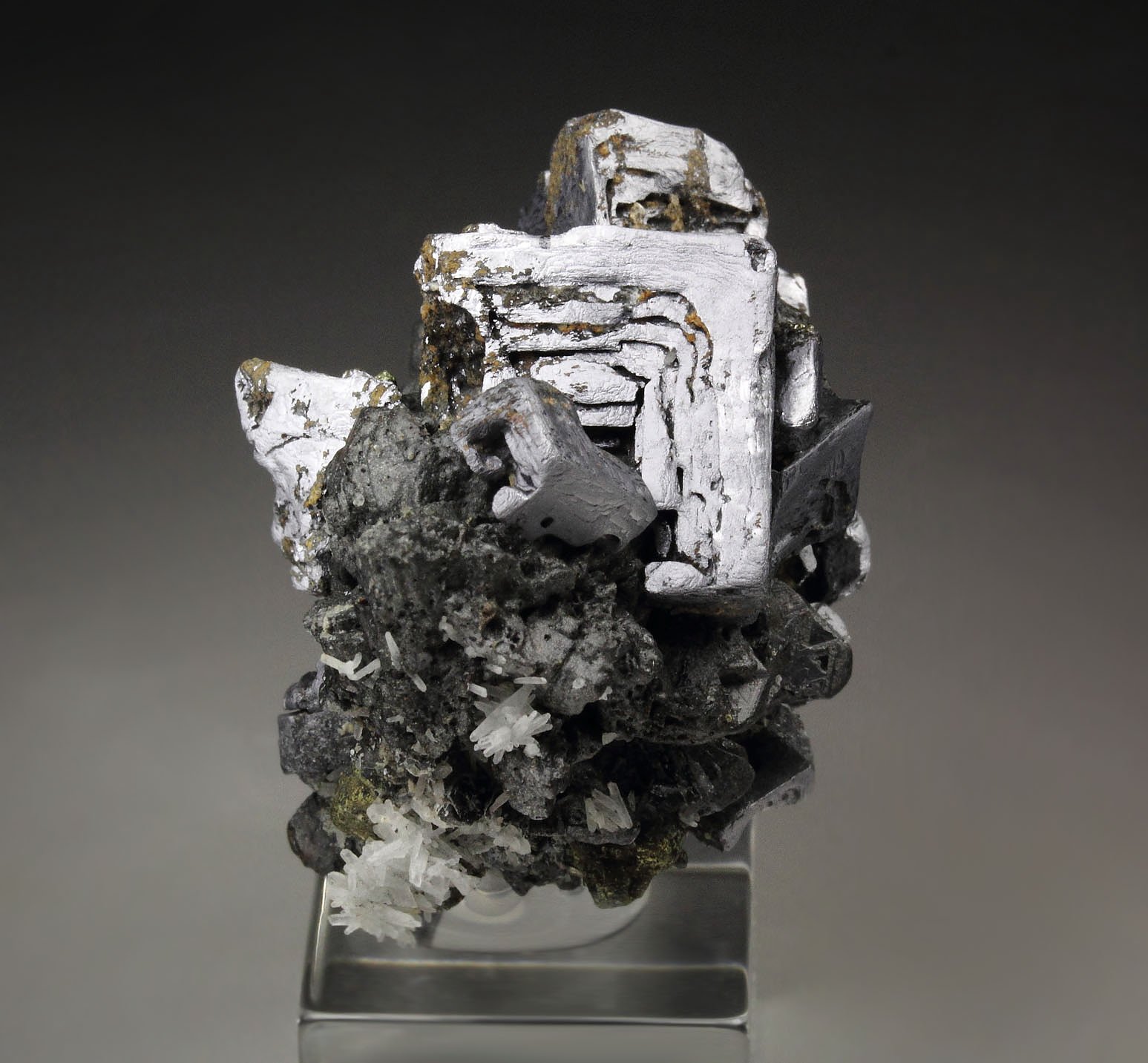 skeletal GALENA, SPHALERITE, QUARTZ, CHALCOPYRITE