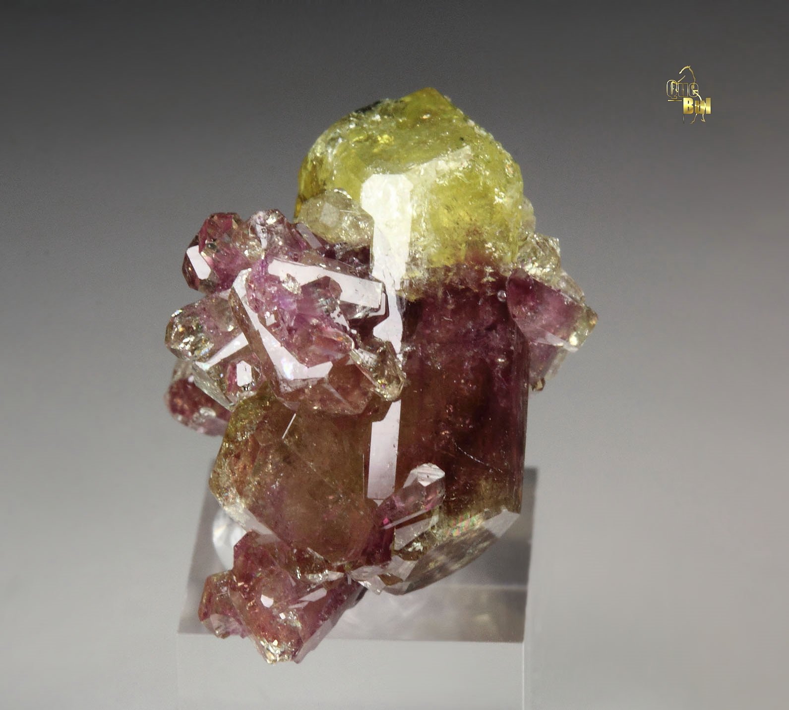 gem bi-terminated VESUVIANITE bi-color, DIOPSIDE