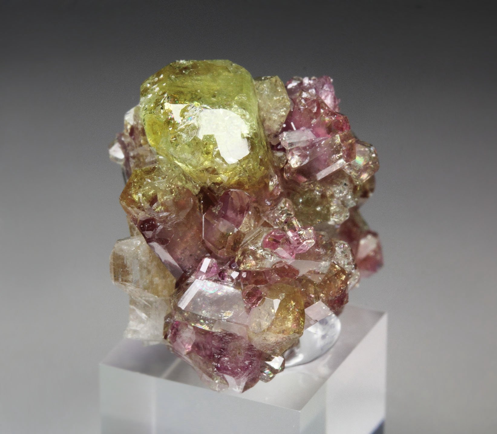 gem bi-terminated VESUVIANITE bi-color, DIOPSIDE