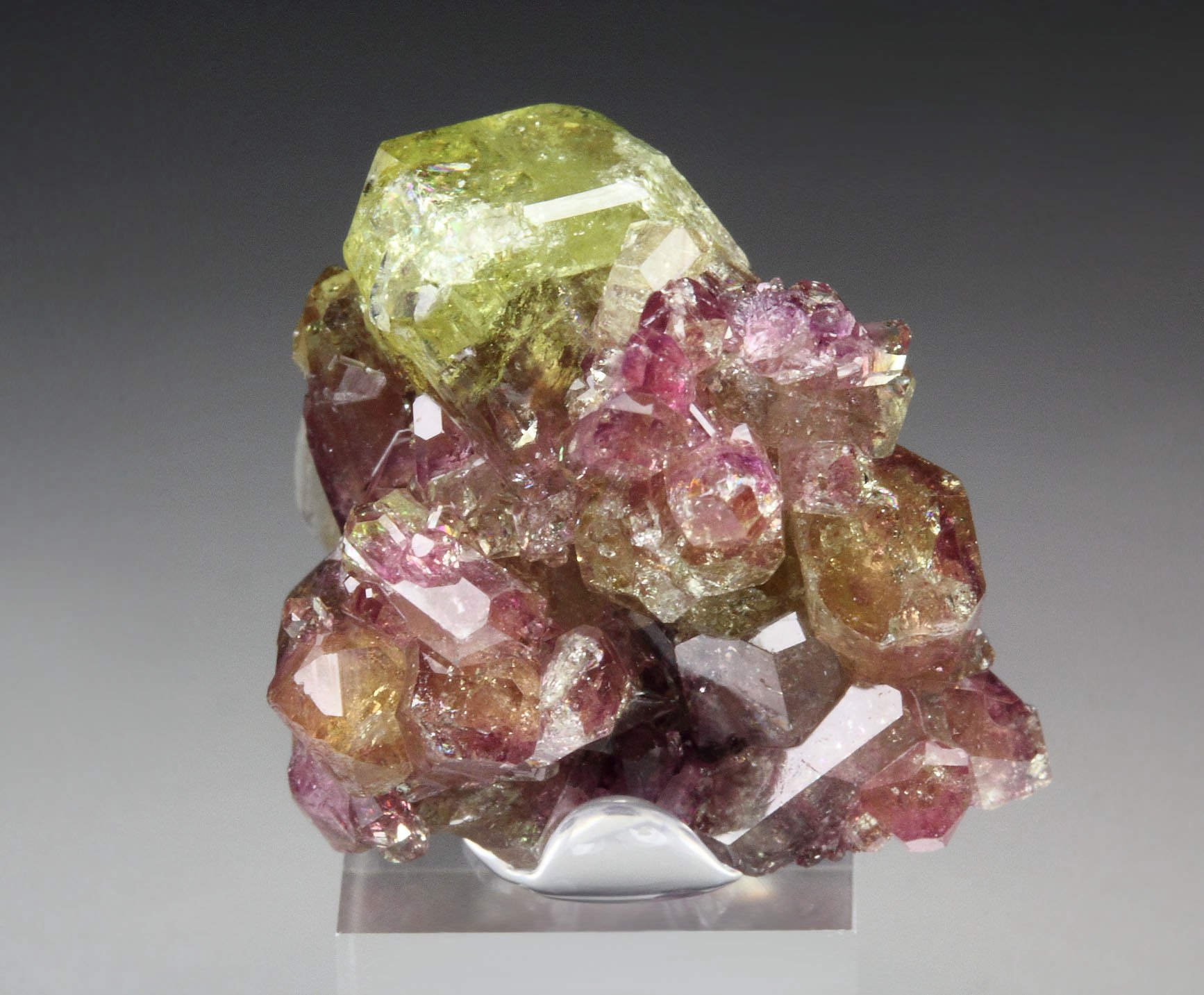 gem bi-terminated VESUVIANITE bi-color, DIOPSIDE