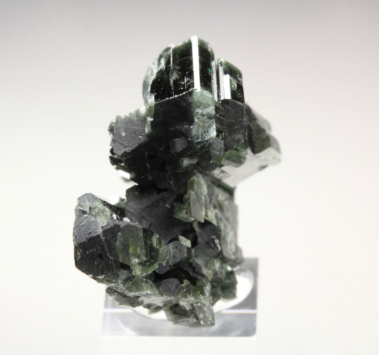 ACTINOLITE