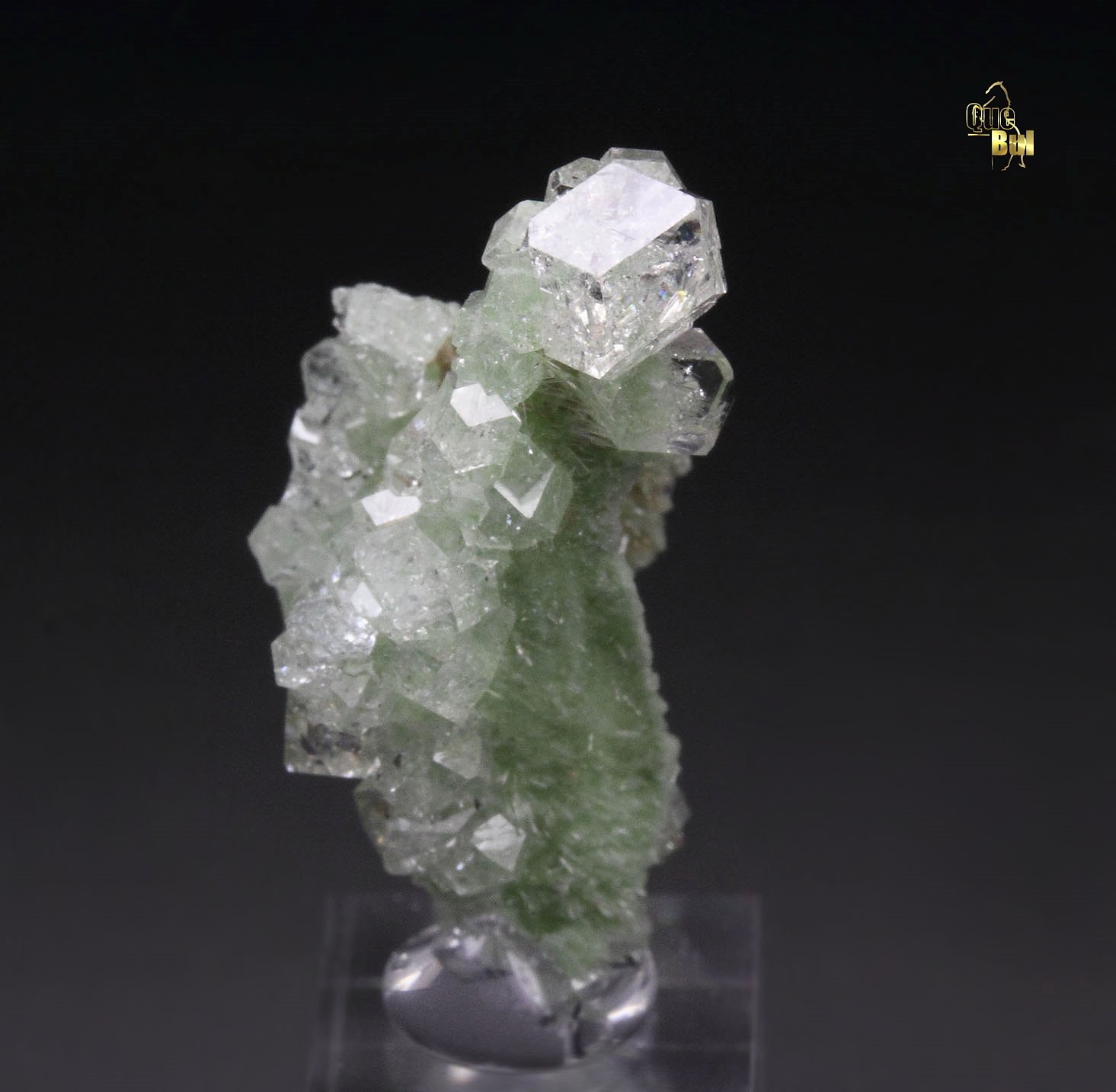 colorless gem GARNET var. GROSSULAR, DIOPSIDE