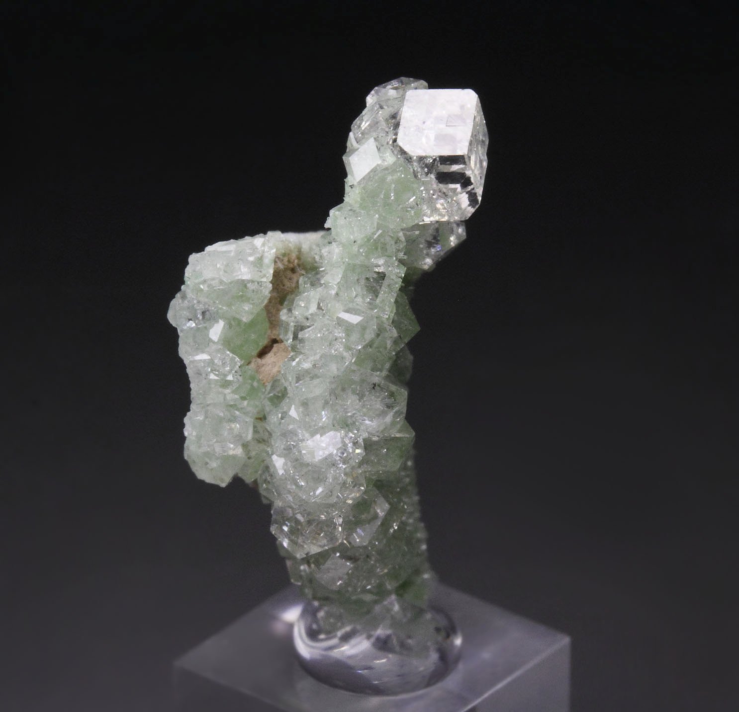 colorless gem GARNET var. GROSSULAR, DIOPSIDE