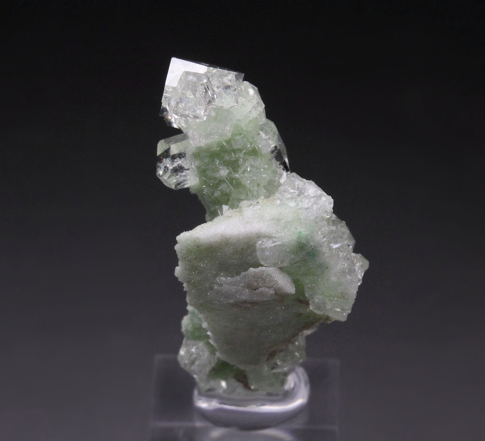 colorless gem GARNET var. GROSSULAR, DIOPSIDE