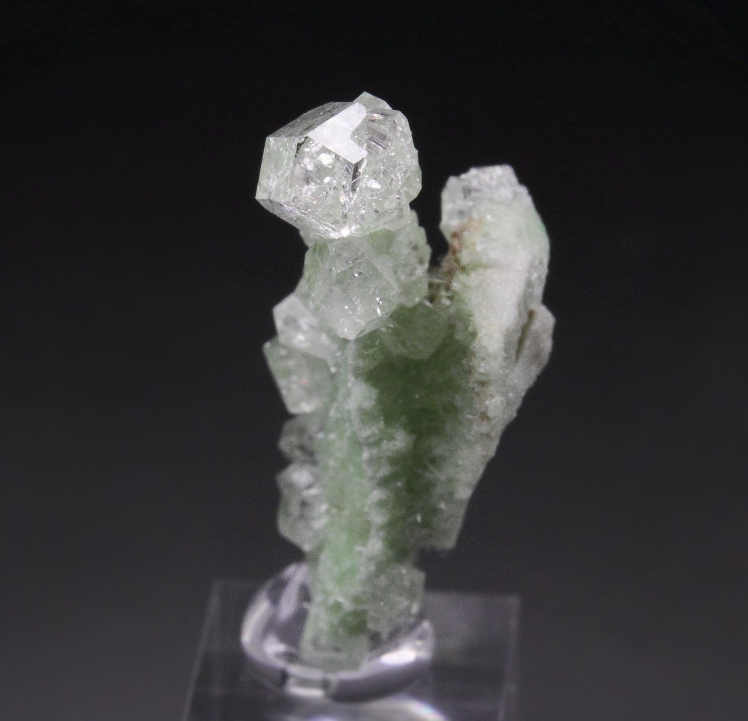 colorless gem GARNET var. GROSSULAR, DIOPSIDE