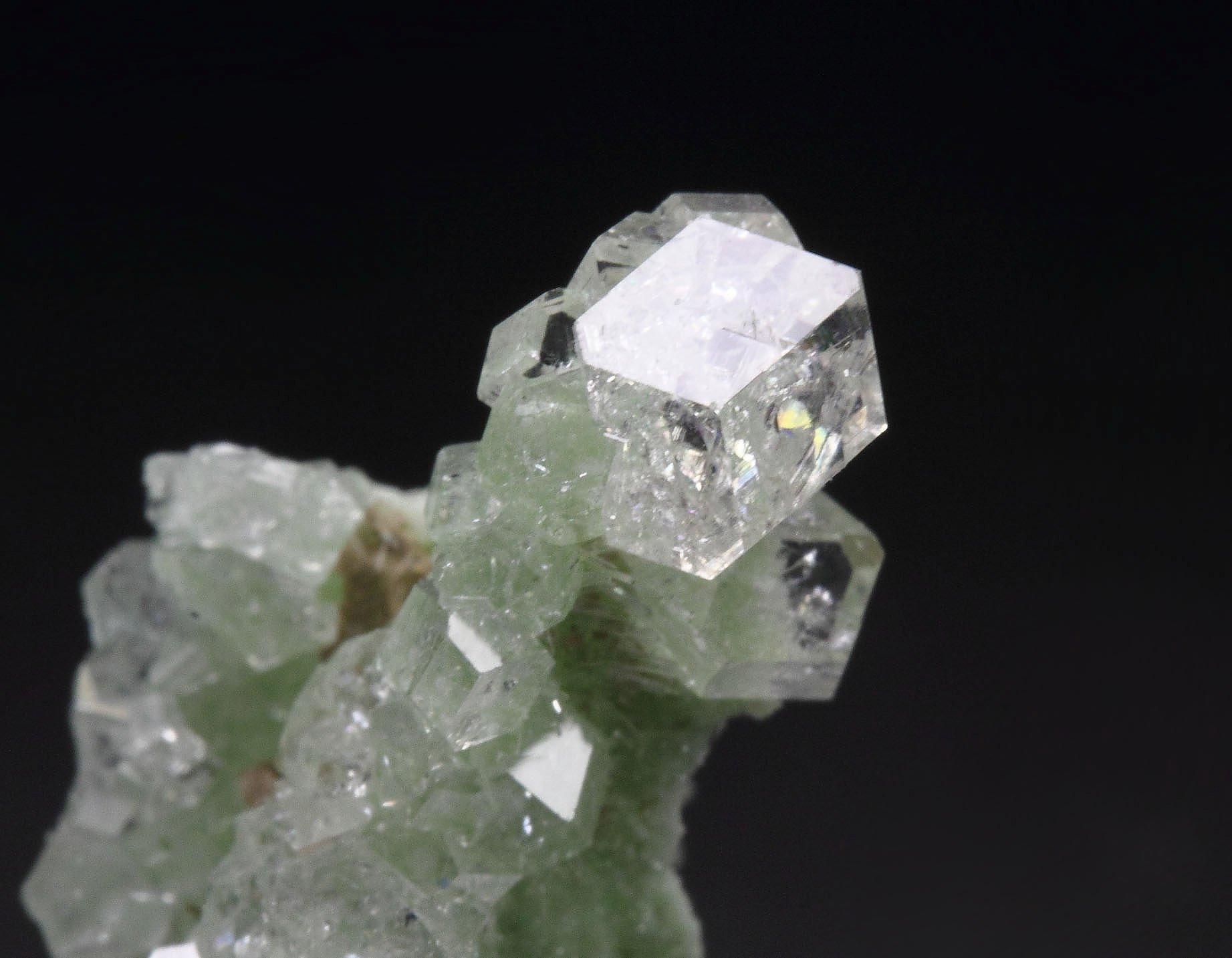 colorless gem GARNET var. GROSSULAR, DIOPSIDE