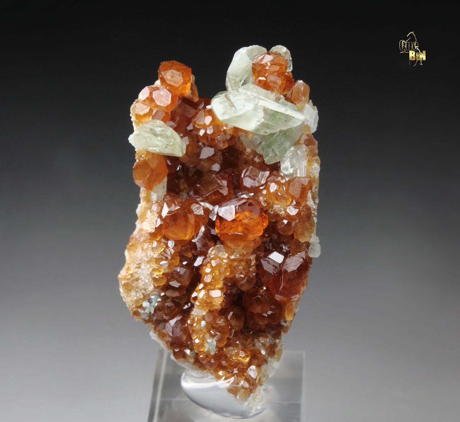 gem GARNET var. HESSONITE, DIOPSIDE