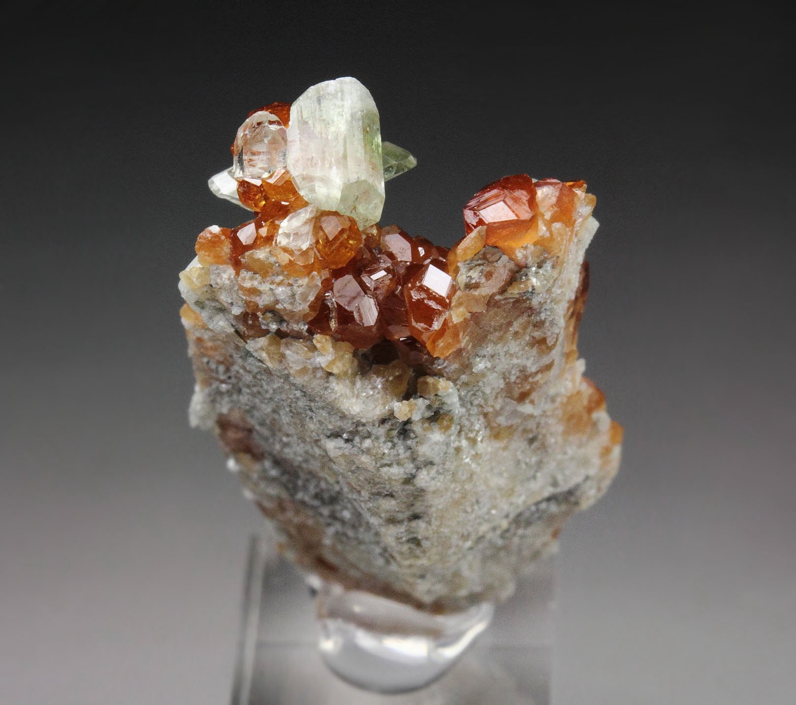 gem GARNET var. HESSONITE, DIOPSIDE