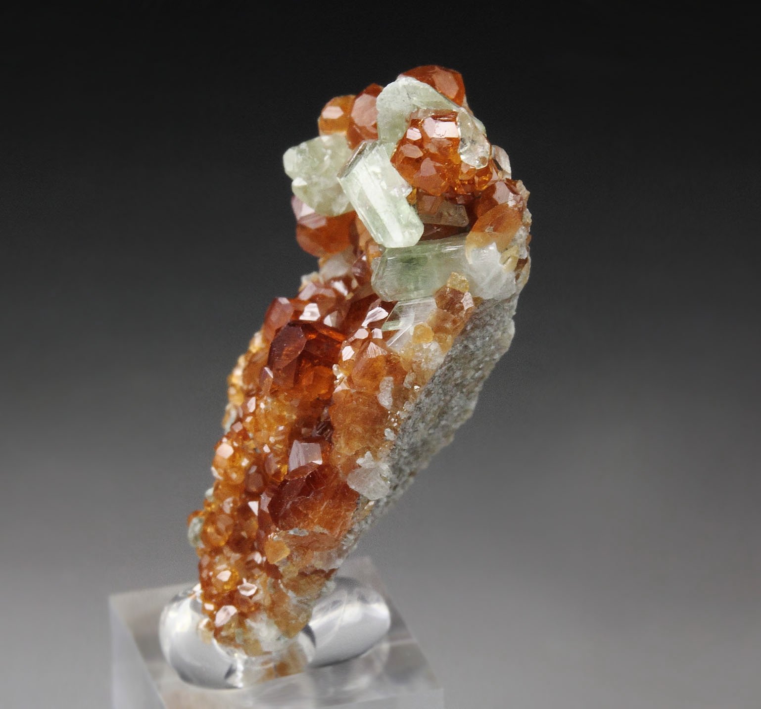 gem GARNET var. HESSONITE, DIOPSIDE