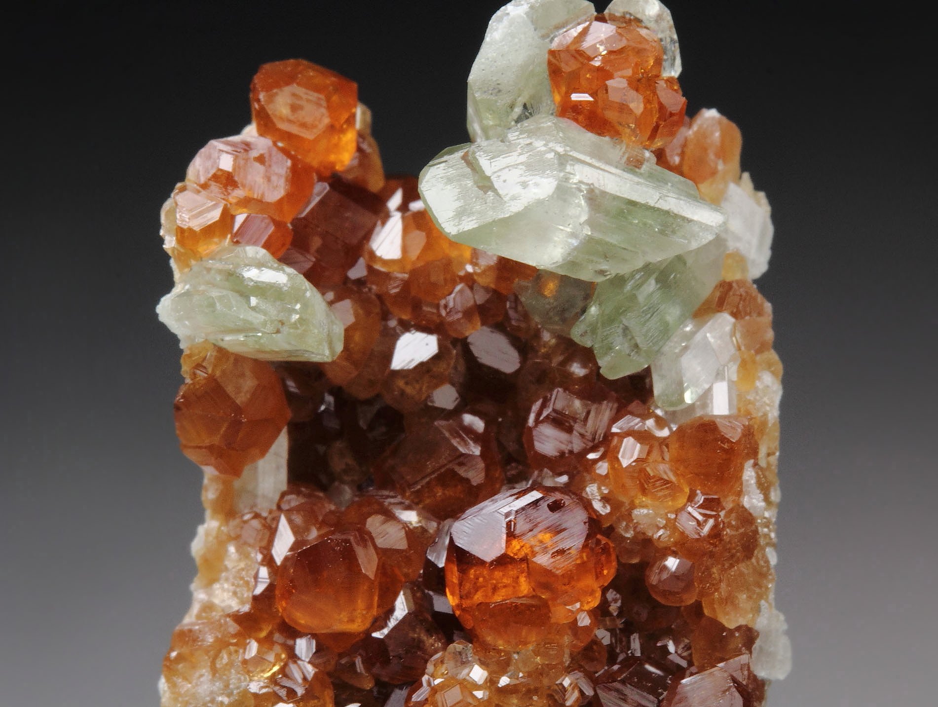 gem GARNET var. HESSONITE, DIOPSIDE