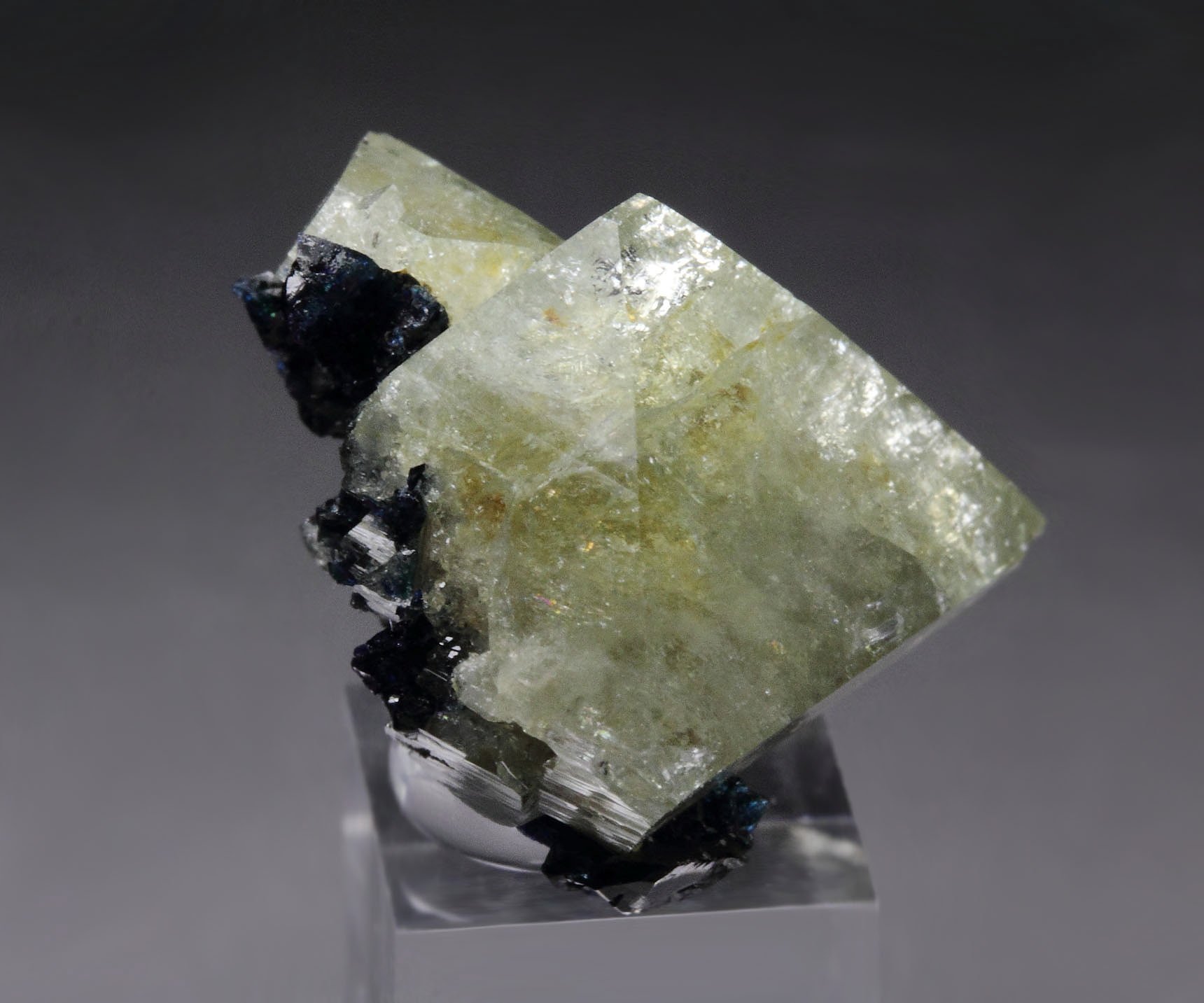 gemmy WARDITE, LAZULITE