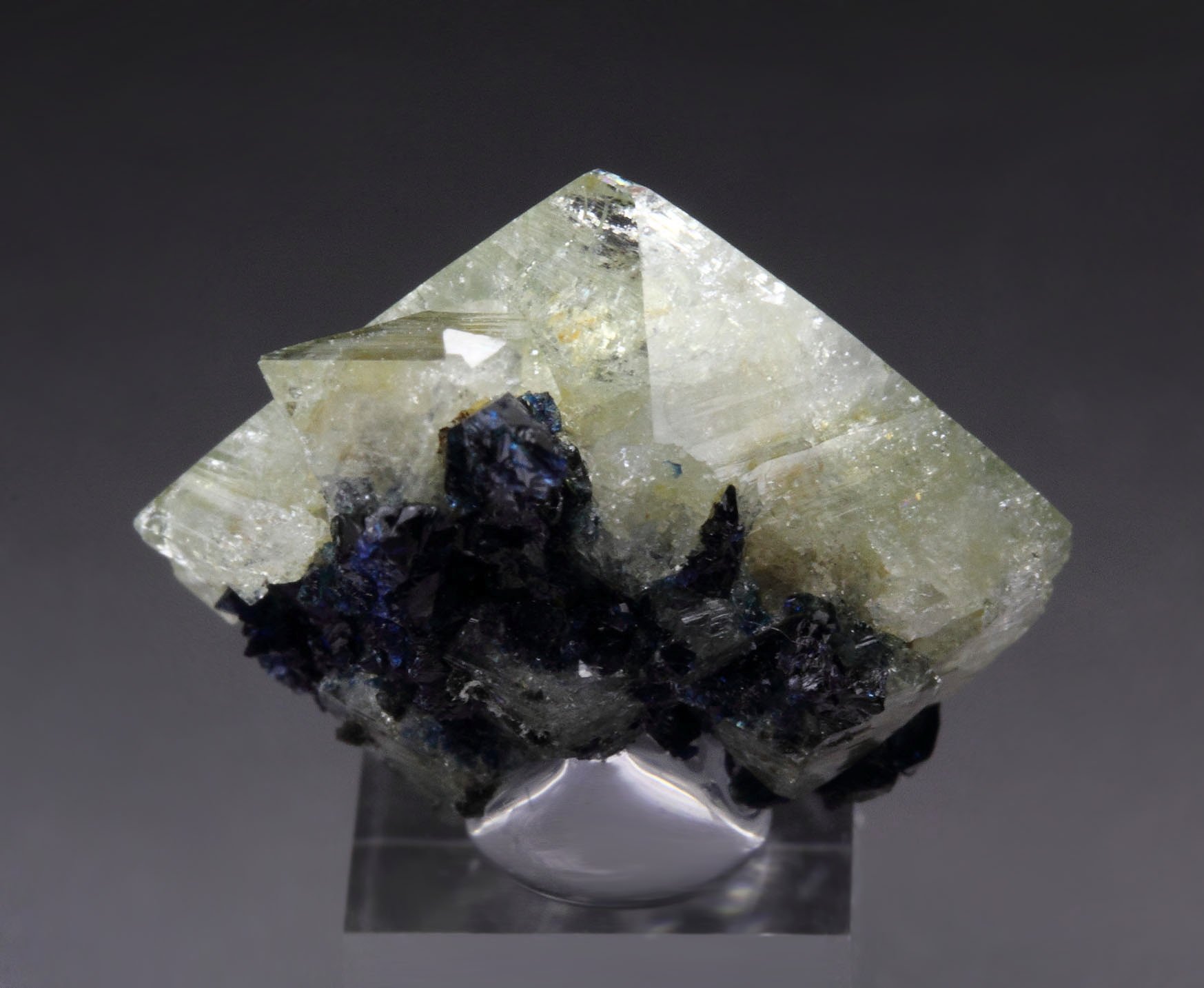 gemmy WARDITE, LAZULITE