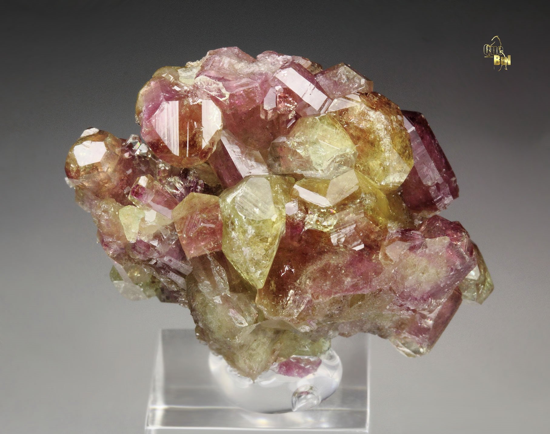 gem bi-terminated VESUVIANITE bi-color, DIOPSIDE