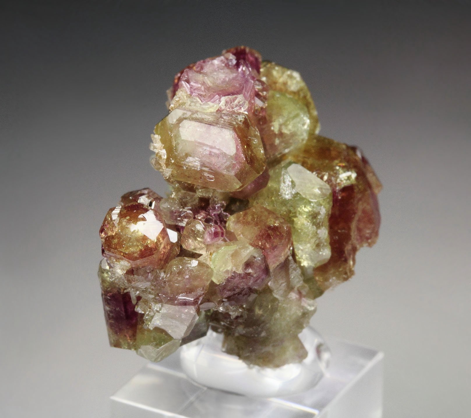 gem bi-terminated VESUVIANITE bi-color, DIOPSIDE