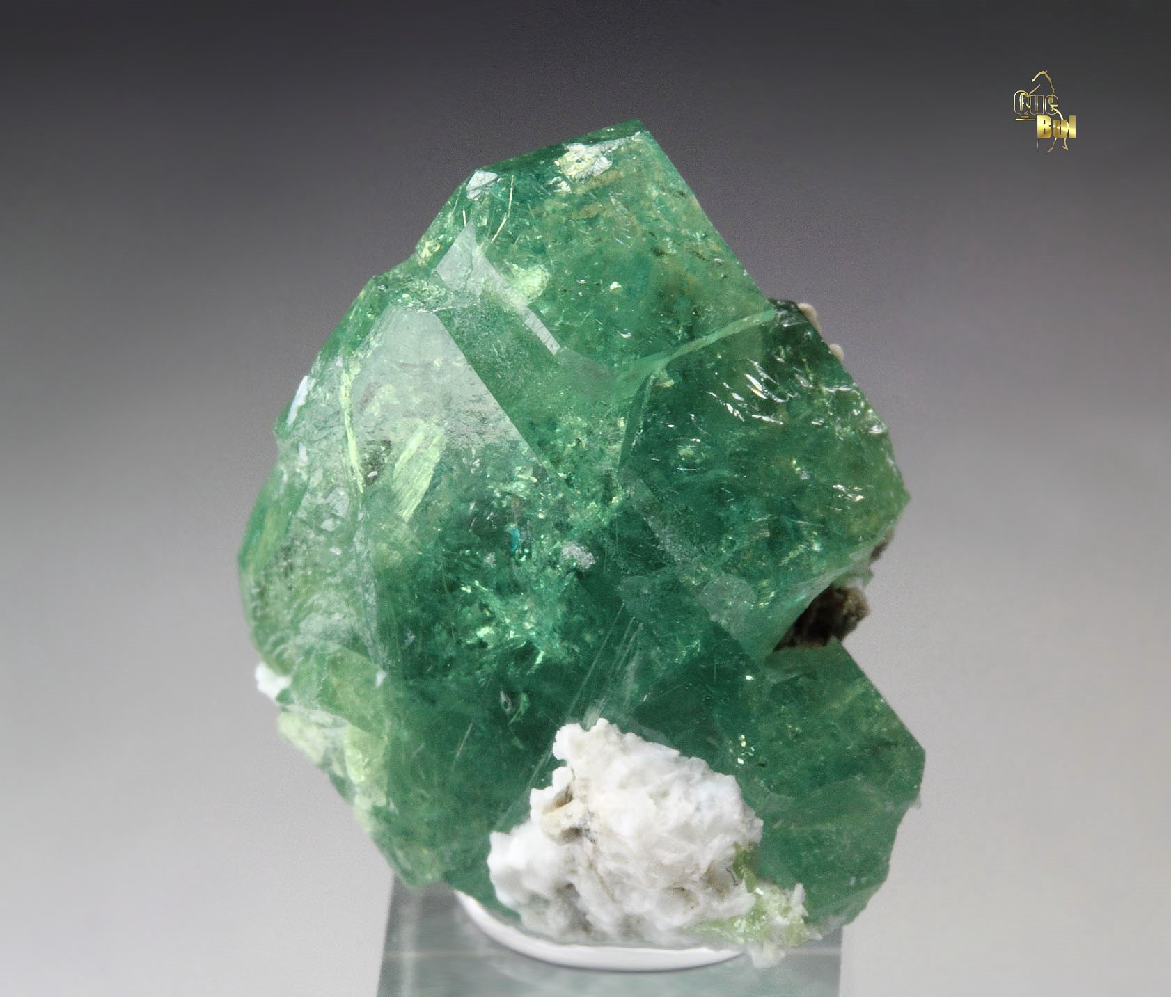 gem GARNET var. ANDRADITE