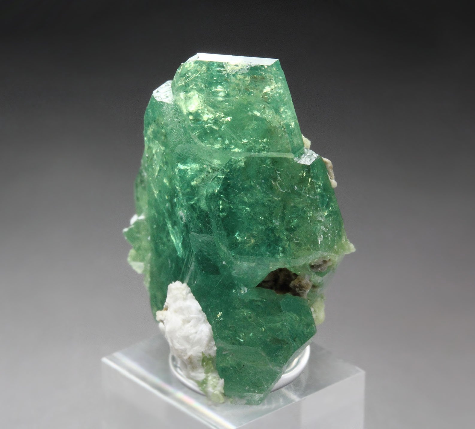 gem GARNET var. ANDRADITE