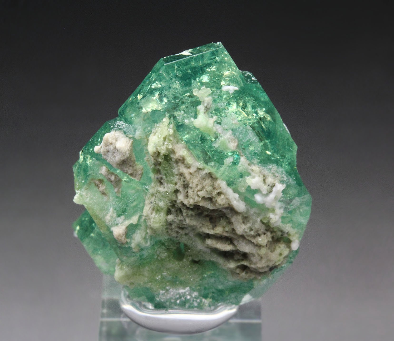 gem GARNET var. ANDRADITE