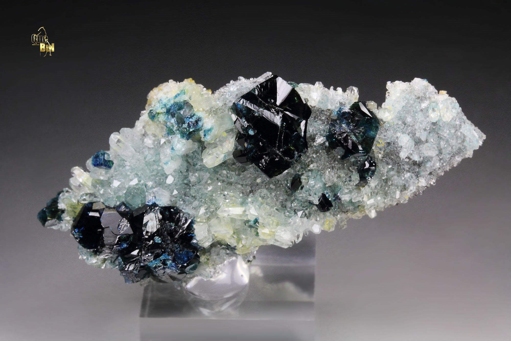 LAZULITE twinned, QUARTZ 