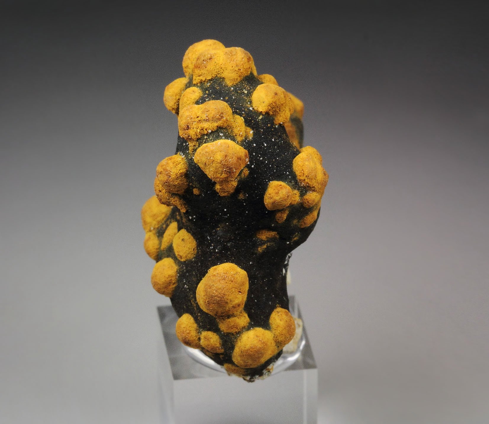 new find - ROMANECHITE, GOETHITE