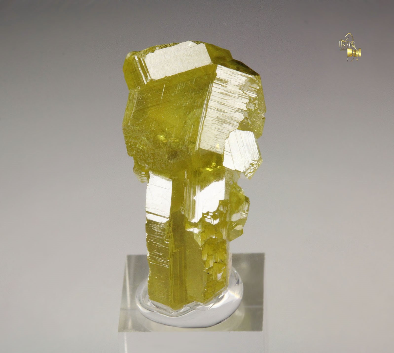 gem SPHALERITE var. CLEIOPHANE twinned