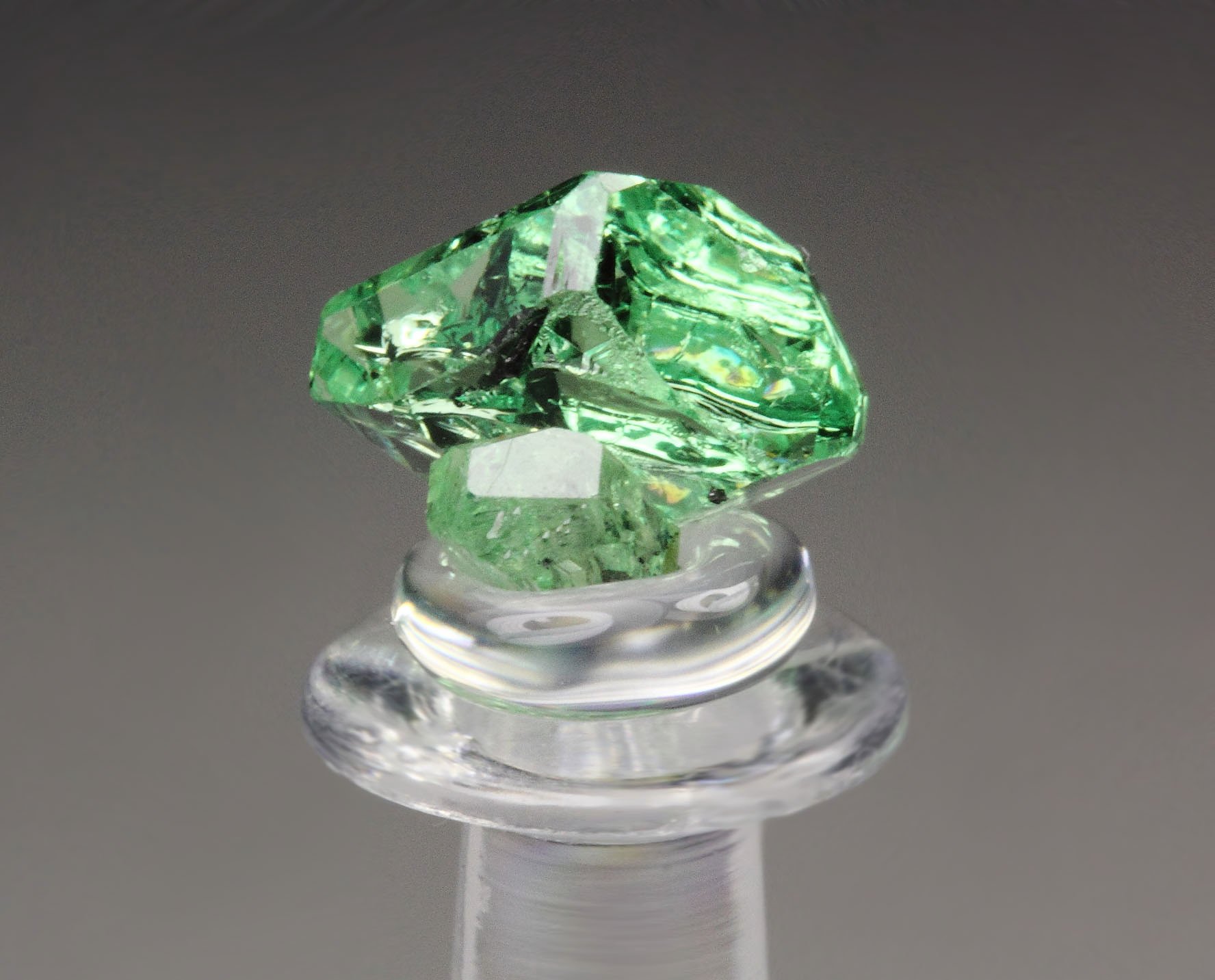 gem GARNET var. GROSSULAR var. TSAVORITE