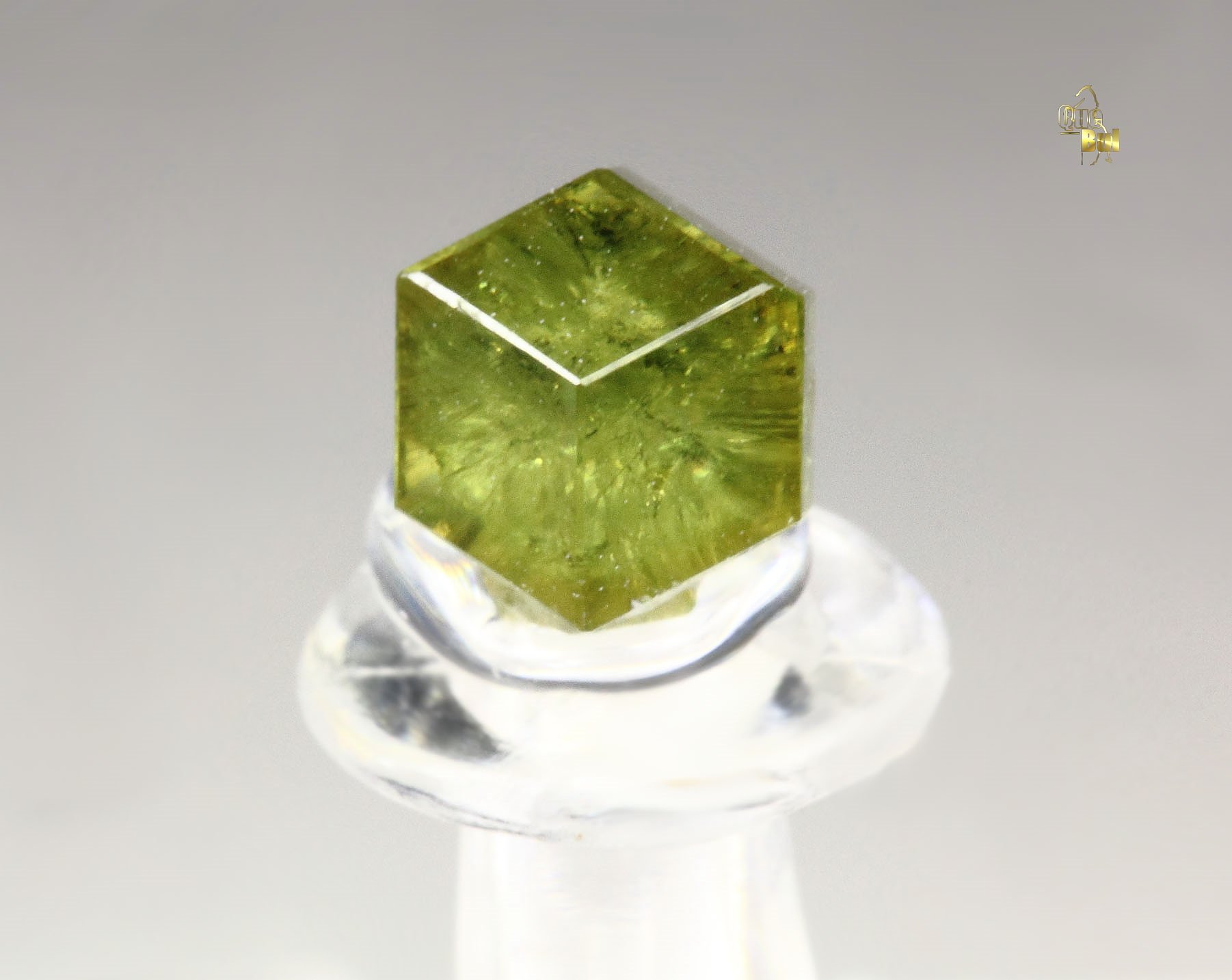 gem GARNET var. ANDRADITE var. DEMANTOID