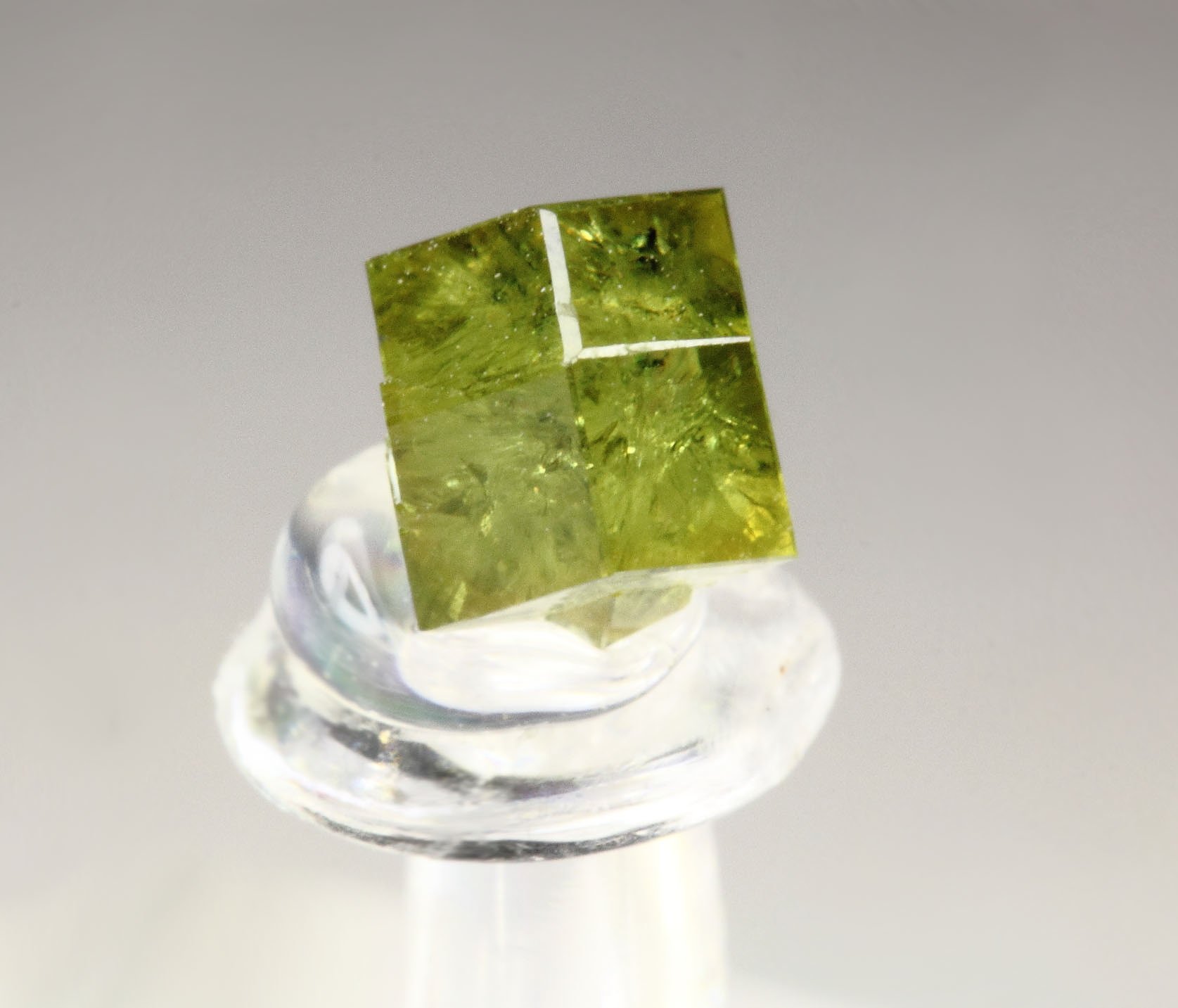 gem GARNET var. ANDRADITE var. DEMANTOID