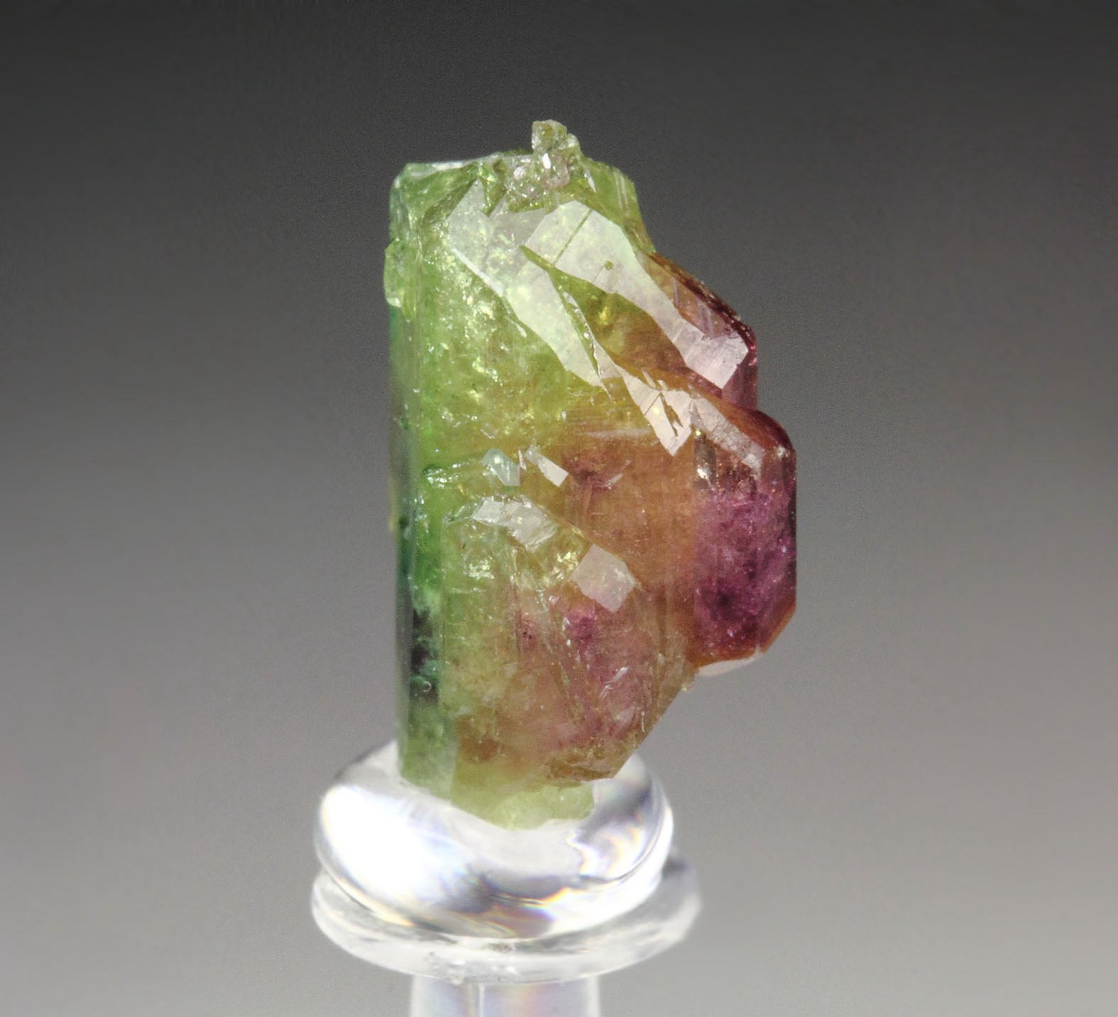 gemmy bi-terminated VESUVIANITE multicolor