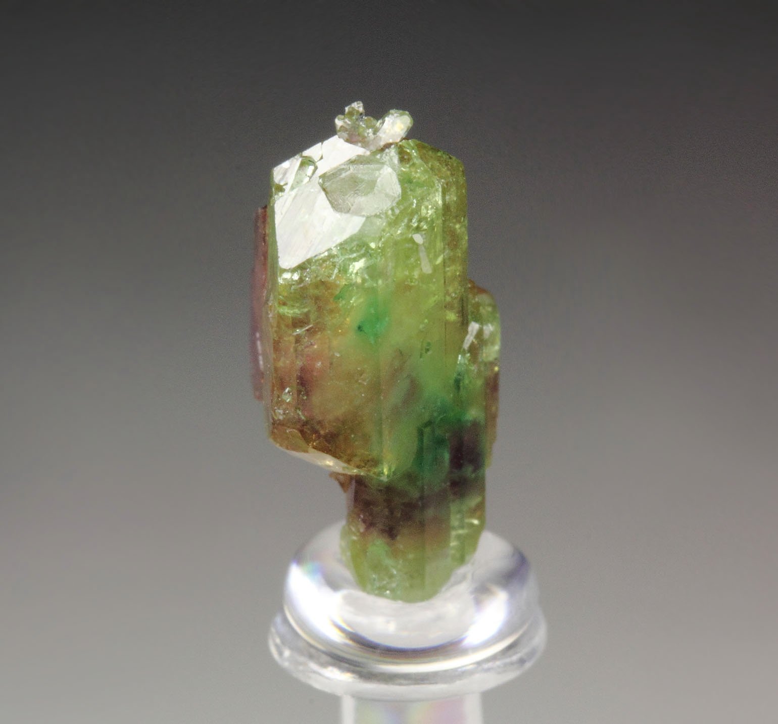 gemmy bi-terminated VESUVIANITE multicolor