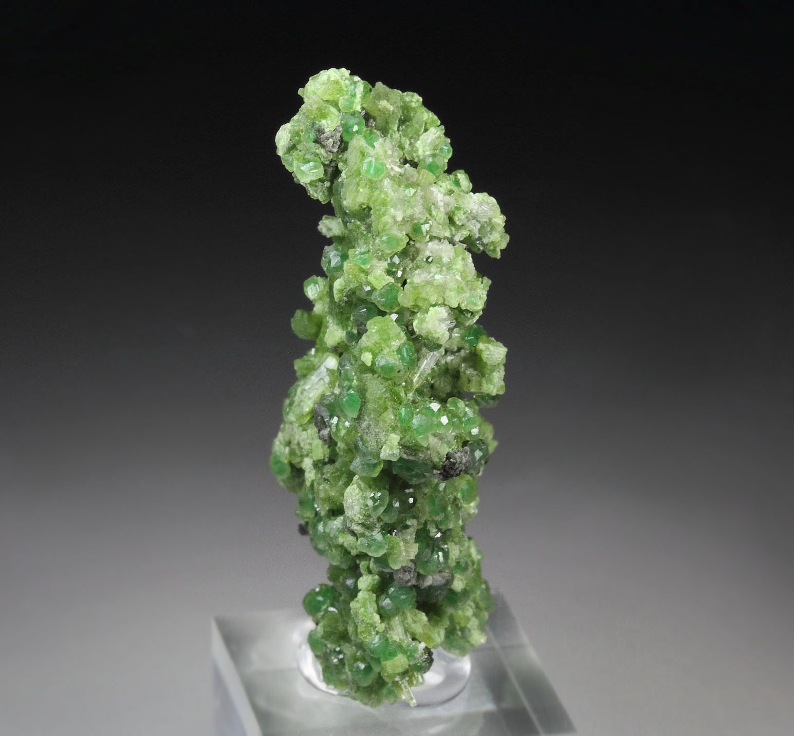 gem GARNET var. GROSSULAR with GREEN CHROMIAN PHANTOMS, DIOPSIDE, CLINOCHLORE