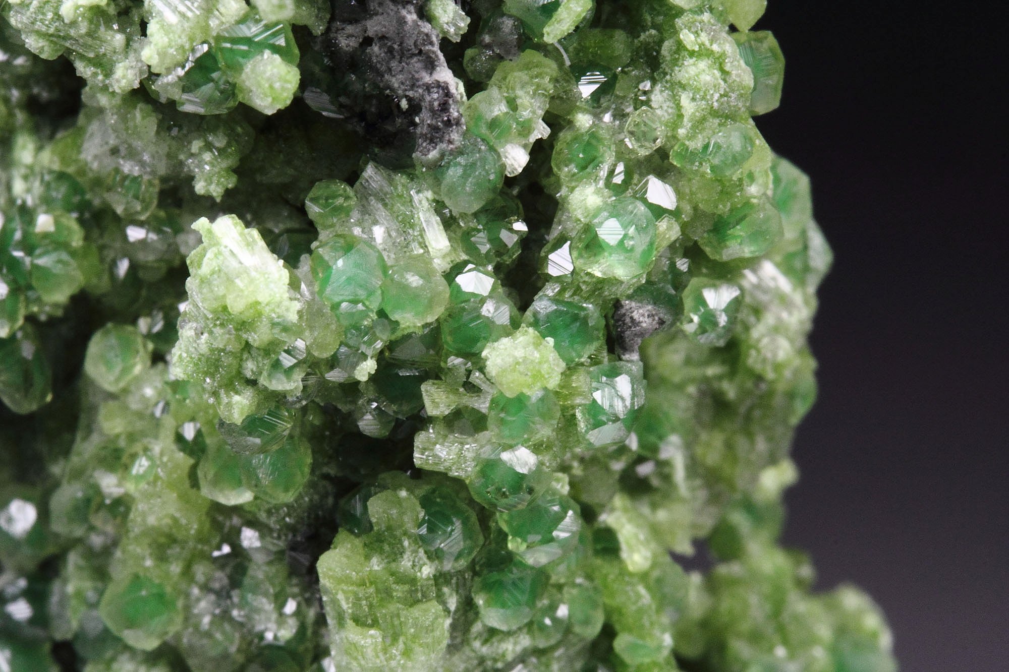 gem GARNET var. GROSSULAR with GREEN CHROMIAN PHANTOMS, DIOPSIDE, CLINOCHLORE