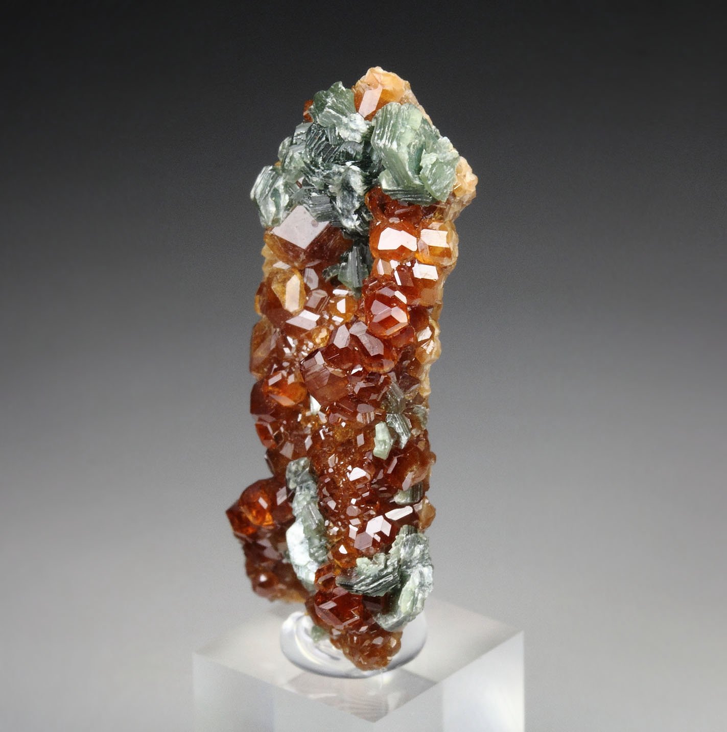gem GARNET var. HESSONITE, CLINOCHLORE