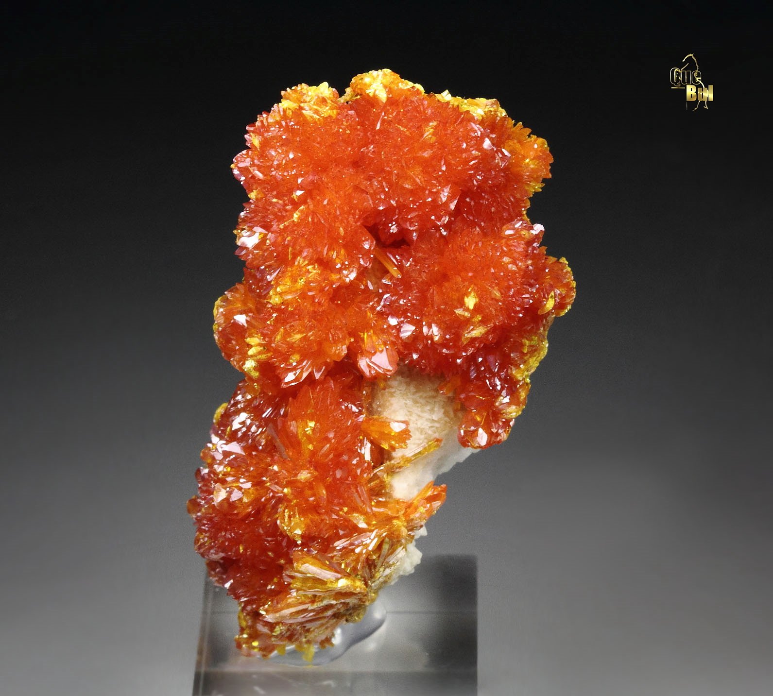 ORPIMENT