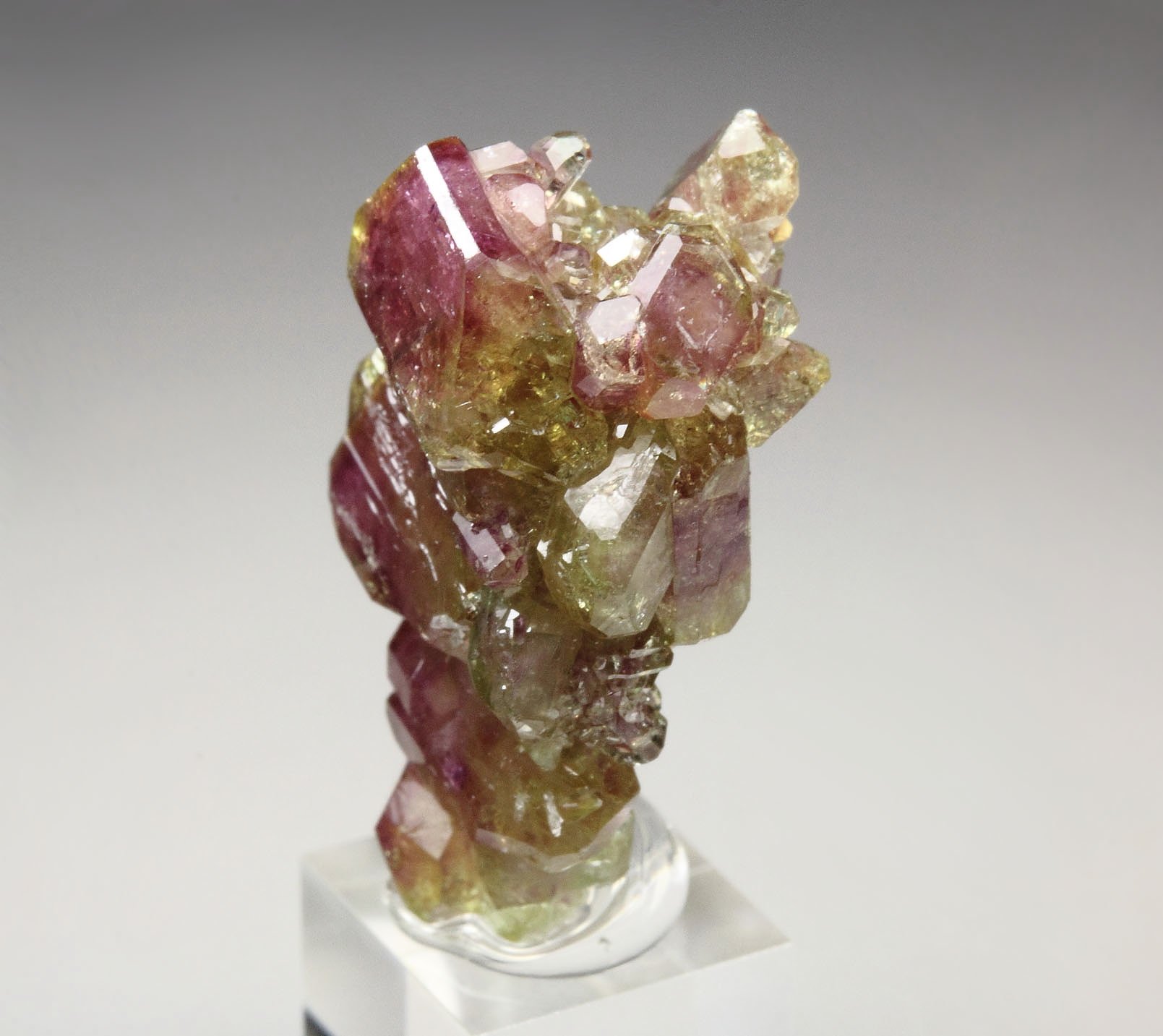 gem bi-terminated VESUVIANITE bi-color