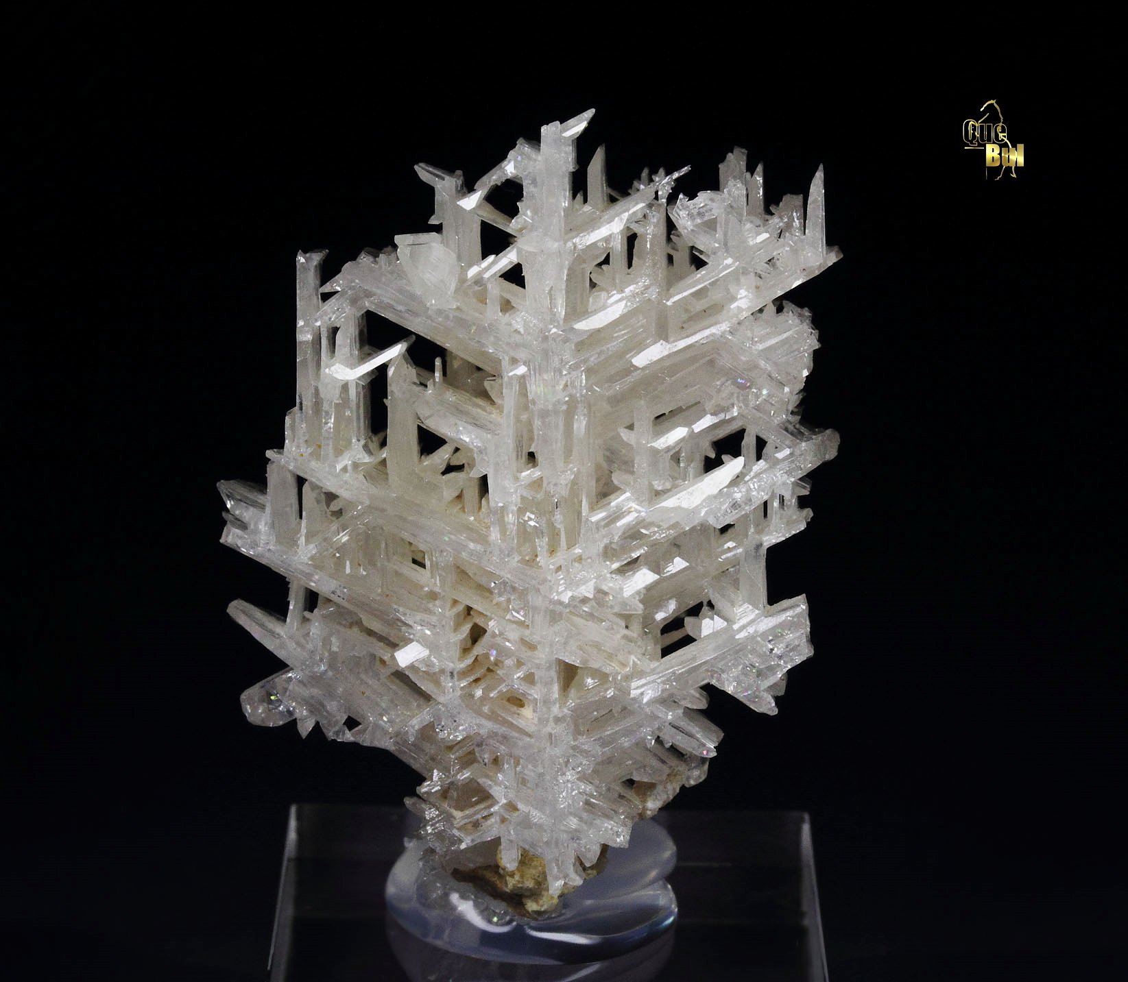 reticulated CERUSSITE