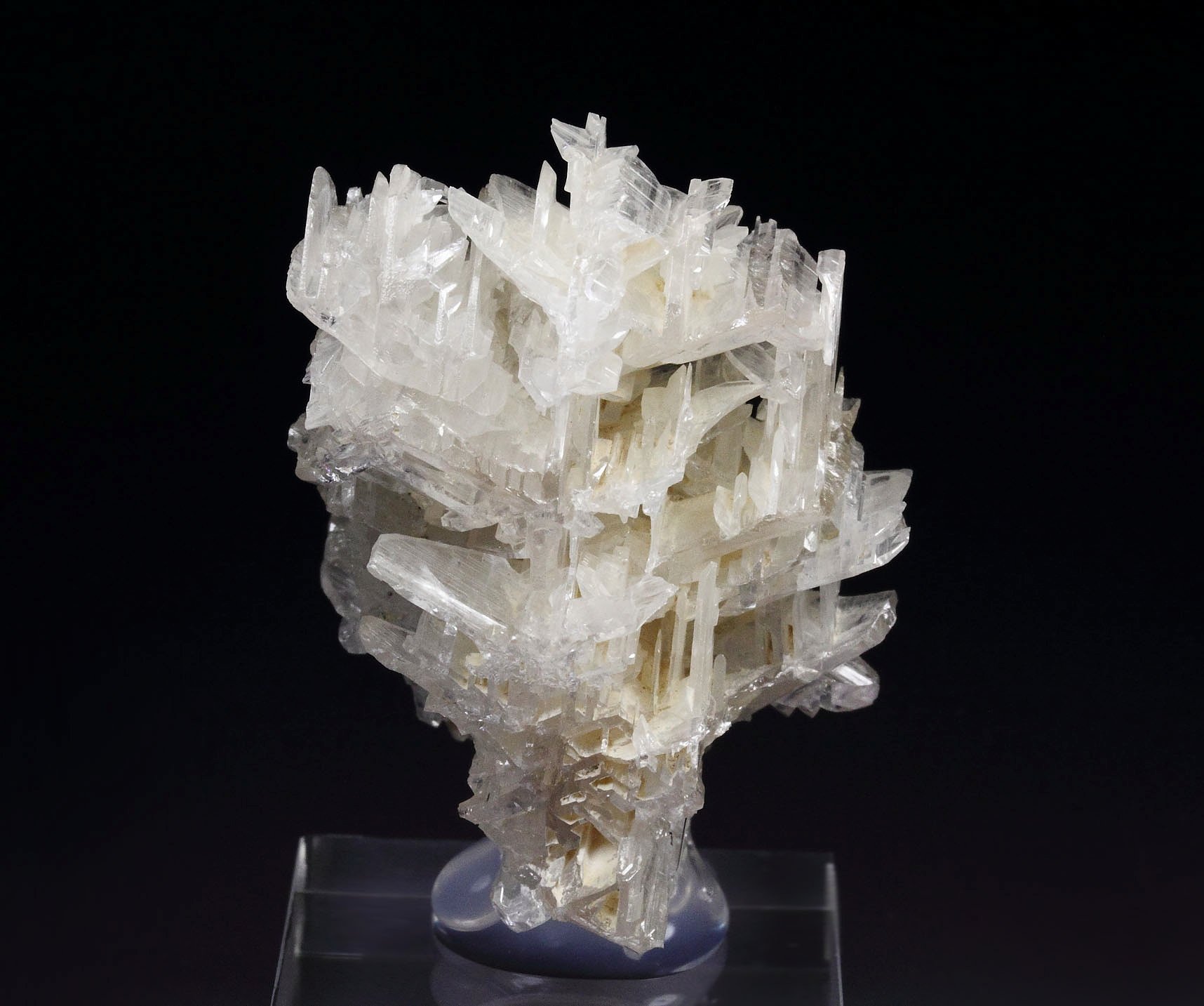 reticulated CERUSSITE